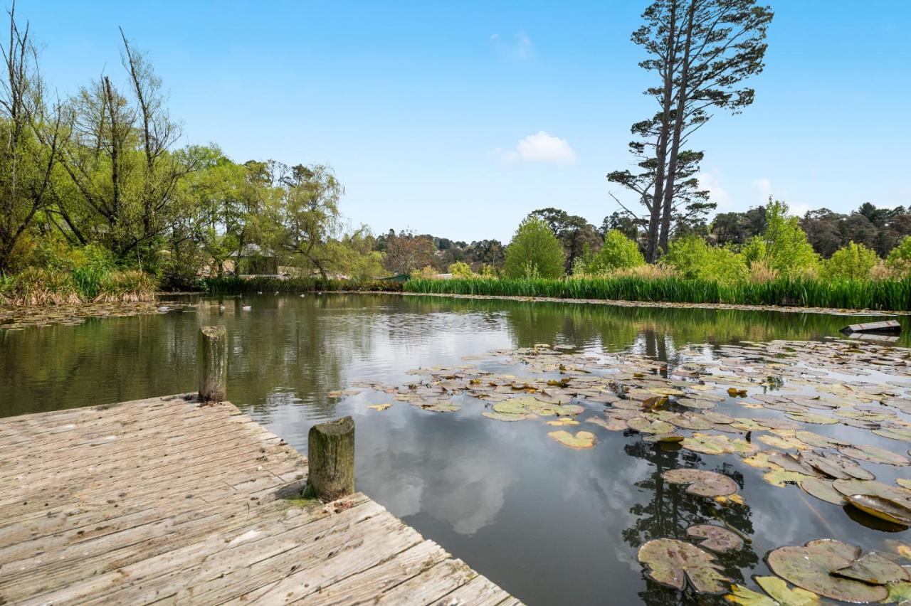 Parklands Country Gardens & Lodges Blue Mountains Blackheath Exterior foto