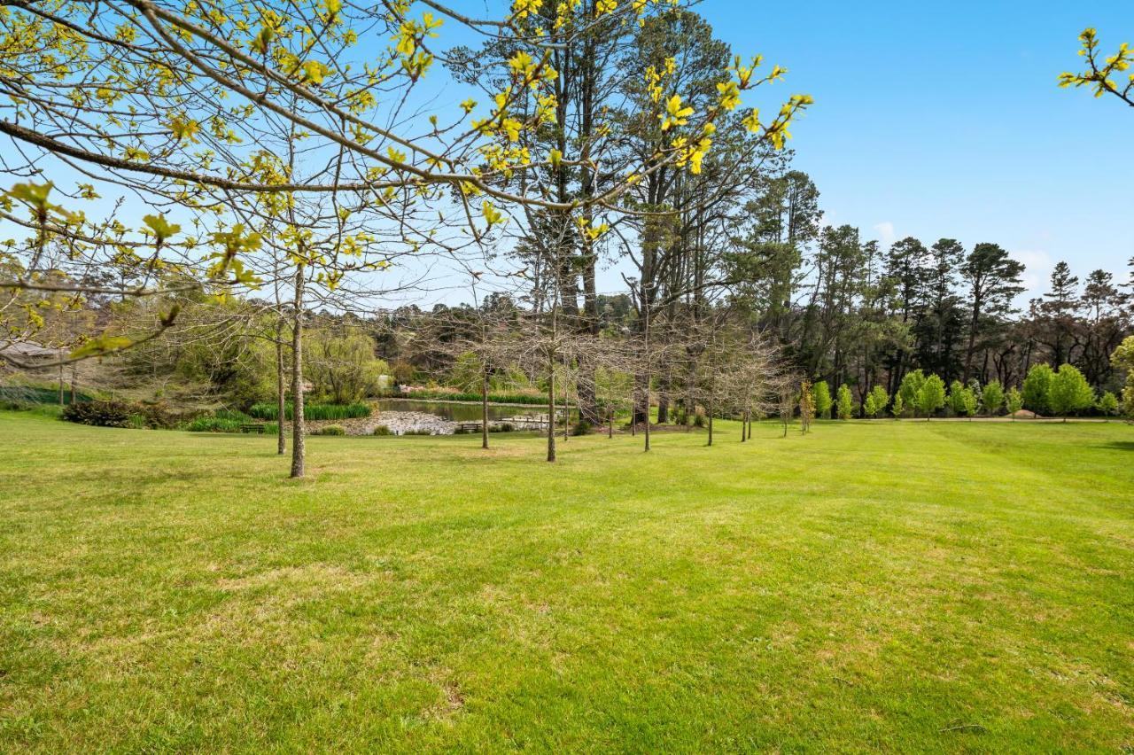 Parklands Country Gardens & Lodges Blue Mountains Blackheath Exterior foto